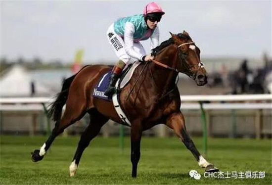 短跑明星VS顶级赛马,谁更快?谁更吸金?大陆马 大陆赛马网 (4).jpg