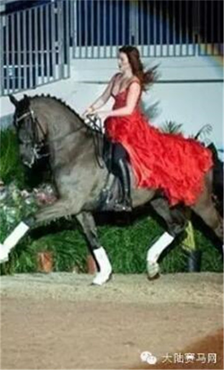 三夺挪威马术冠军的19岁姑娘成全球最年轻亿万富翁 (3)大陆马 大陆赛马网.jpg
