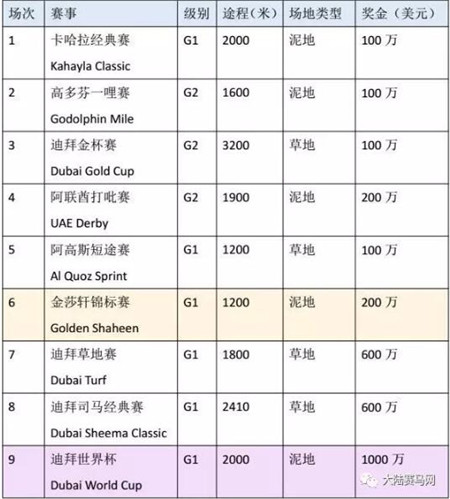 洪金宝赛驹迪拜世界杯赛马日夺冠:“这是我人生中最高兴的时刻!” (2)大陆马 大陆赛马网.jpg
