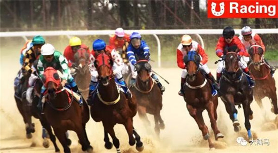 武汉速度赛马公开赛第三赛马日举行：亿通马房二冠一亚傲群雄