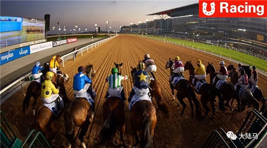 为中国马主赛马加油！玉龙马业两赛驹今日出战3000万美元迪拜世界杯赛马日