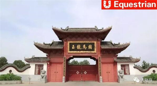 正式签约!玉龙马业助力右玉联合太原理工大学共建马术学院 大陆马 大陆赛马网 (1).jpg