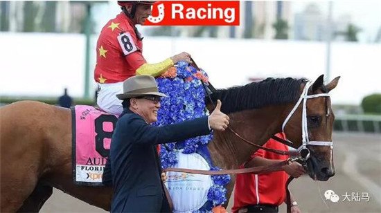 新突破!CHC开启美国赛马三冠王征程:“聆听”四连胜强势挺进肯塔基德比 大陆马 大陆赛马网 (1).jpg