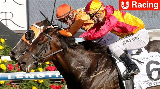 又是一鼻优势获胜！18匹赛驹挑战200万澳币澳洲打吡：莱德两驹进前八