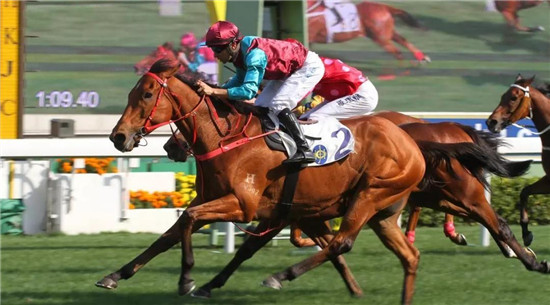 超新星「争分夺秒」摘下短途锦标初尝分级赛胜果, 下一目标主席短途奖1.jpg