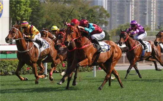 超新星「争分夺秒」摘下短途锦标初尝分级赛胜果, 下一目标主席短途奖4.jpg