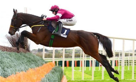 英国国家障碍大赛赛驹突然死亡,死因尚不清楚 大陆赛马网.jpg