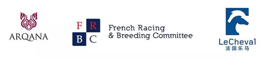 平均2天一场比赛、总奖金1400万:2018玉龙国际赛马公开赛5月19日盛大开锣29.webp.jpg