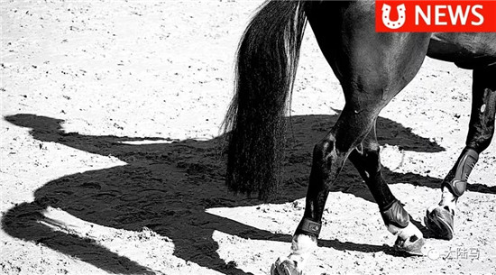 【马业新闻早报】北京�
、山西、四川、新疆	、安徽品牌赛事开启
，国内赛事热潮来袭