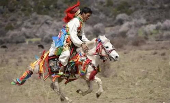 松宗赛马暨民俗文化节开幕 为期3天2公里公路赛马率先开战