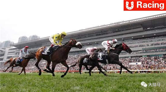 体彩专家给“马彩”泼冷水：支持赛马运动 但绝不能赌马