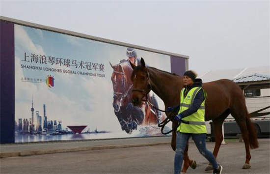 22018上海马术冠军赛倒计时 首批赛马抵沪.jpg