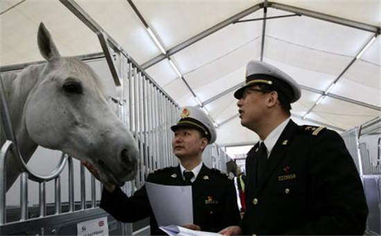 42018上海马术冠军赛倒计时 首批赛马抵沪.jpg