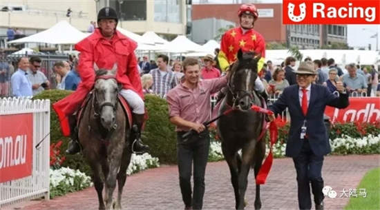 单次27万	！CHC新晋种公马“俄国先锋”配种费用公布
�，配种+奖金收益或达购入时43倍	！