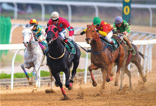1赛马运动产业化落子海南 三大领域将迎市场机遇.jpg