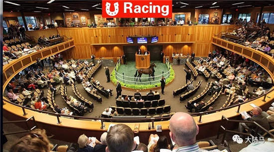 中国首个与国际接轨的专业赛马拍卖会即将启幕！纯血马流通最重要的渠道