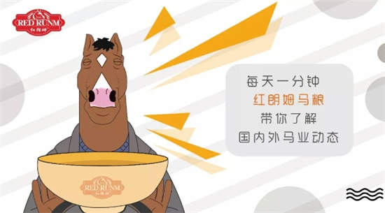 【5月5日马闻播报】马联实业进口20匹美国马抵京	，中马协举办马兽医培训