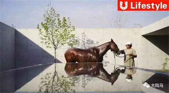 活得还不如一匹马
！价值5亿人民币的马场你见过吗？