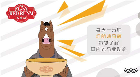 【5月7日马闻播报】东三省马术巡回赛首站成功举办	，荷兰骑手荣登世界第一宝座