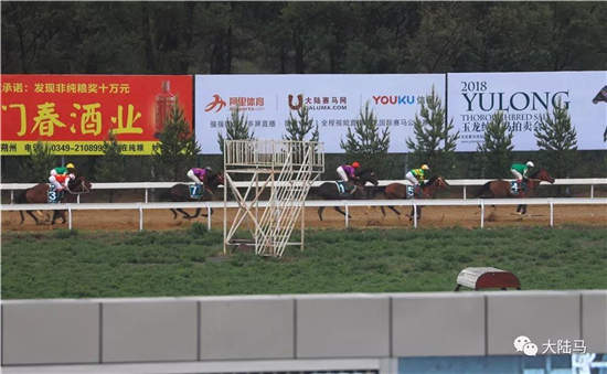 102018玉龙国际赛马公开赛雨中激情开锣.jpg