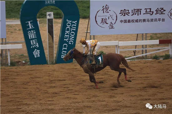 122018玉龙国际赛马公开赛雨中激情开锣.jpg