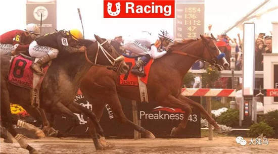 CHC“正义”大雾中攻克美国三冠王第二站！已成世界排名第一3岁马