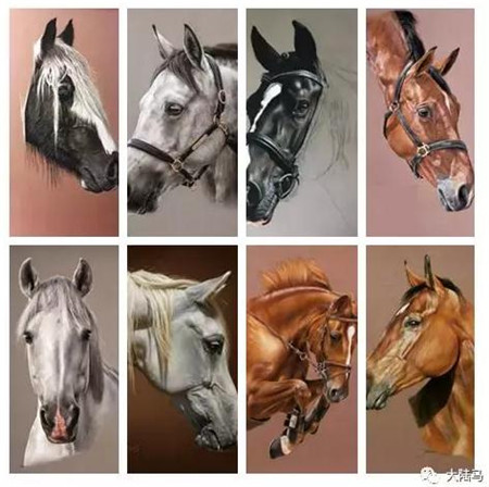 每一张都能当手机桌面
！这些马	，都是90后法国美女用彩铅创造的