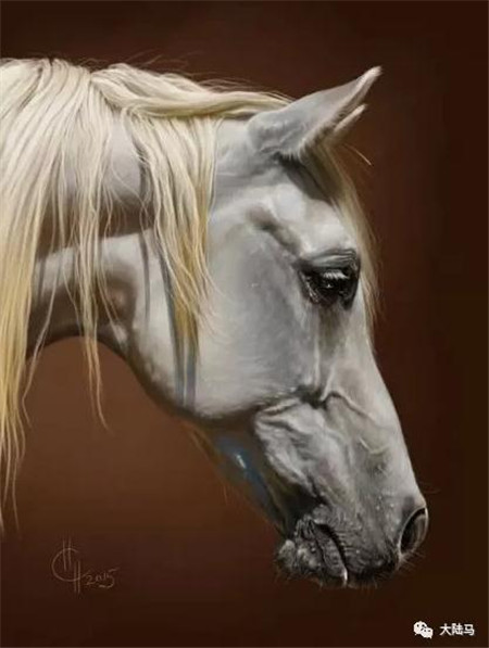 每一张都能当手机桌面!这些马,都是90后法国美女用彩铅创造的7.jpg