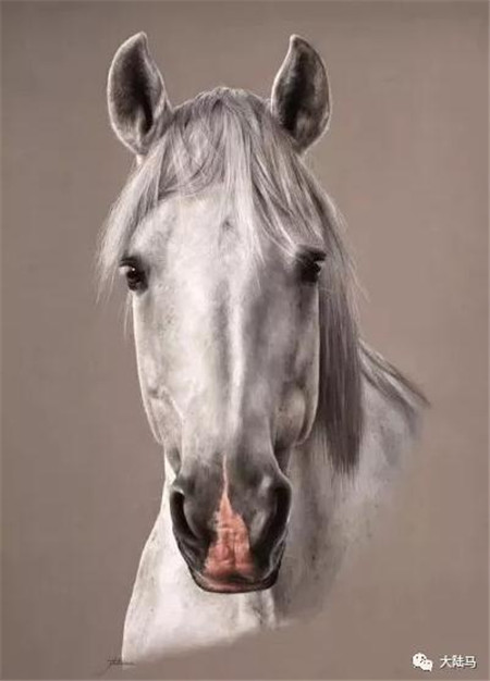 每一张都能当手机桌面!这些马,都是90后法国美女用彩铅创造的6.jpg