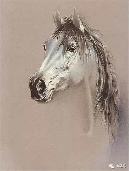 每一张都能当手机桌面!这些马,都是90后法国美女用彩铅创造的12.jpg