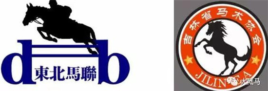 【5月18日马闻播报】马术世界杯成都站发布会举行,海南暂停含“赛马”字样的企业注册4.jpg