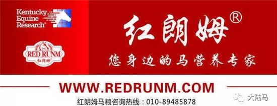 【5月18日马闻播报】马术世界杯成都站发布会举行,海南暂停含“赛马”字样的企业注册5.jpg