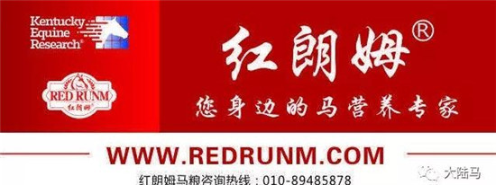 【5月21日马闻播报】海南明确赛马、竞猜型体彩等产业招商责任单位,沙宝亮山西现场看赛马6.jpg