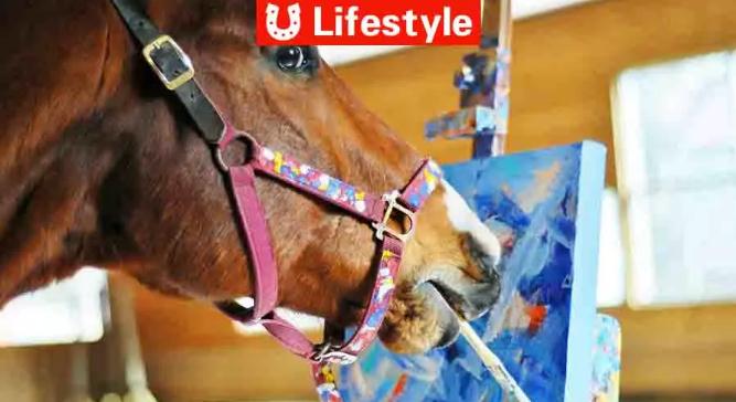 那匹马界毕加索被执行安乐死了！一生卖画治病还捐了45000美元