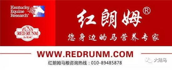 5月22日马闻播报:金伯乐包揽成都6场130-150cm级别冠军,“帽”美如花拍拍秀向主题赛马日520正式表白7.jpg