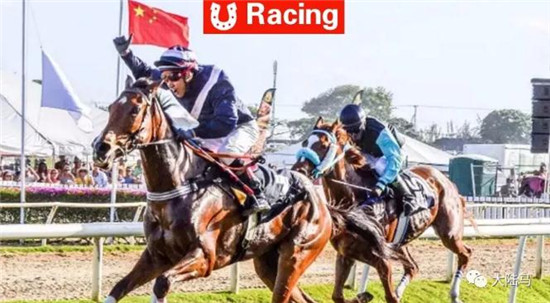覃勇又叒在澳洲赛马夺冠了	！同一天
、同一赛场2冠1亚1季