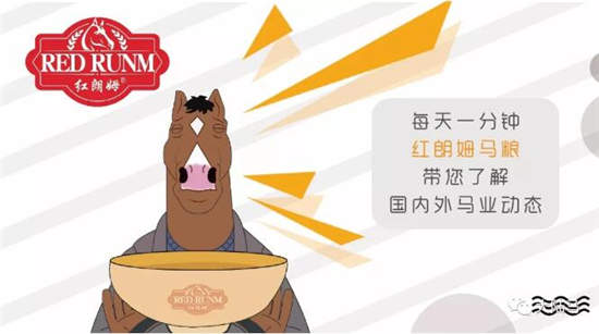 【5月29日马闻播报】CHF马展今年首推青少年系列活动,中华民族大赛马传统耐力赛总决赛衡水安平举办 (1)_副本.jpg