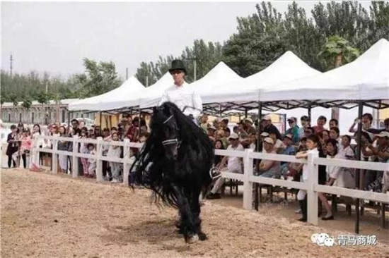 周末约吗?护甲黑科技hit-air邀你参加中联骑士联盟15周年庆典 (5).jpg