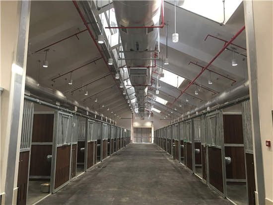 香港赛马会从化马匹训练中心开始运作 (5).jpg