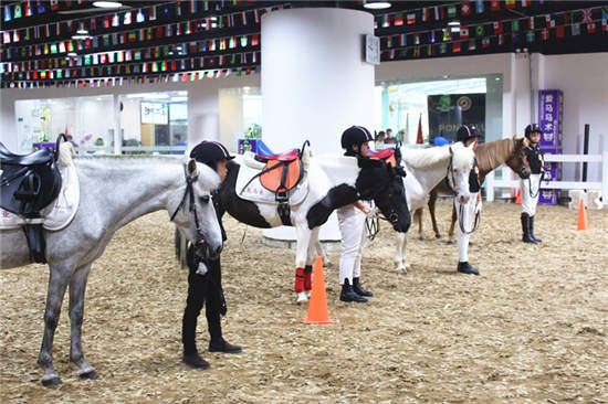 合肥燕龙爱马马术通级考核将顺利举行 澳洲一级考官认证测评 (1).jpg