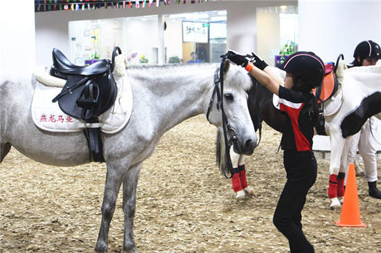 合肥燕龙爱马马术通级考核将顺利举行 澳洲一级考官认证测评 (3).jpg