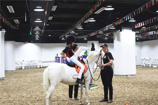 合肥燕龙爱马马术通级考核将顺利举行 澳洲一级考官认证测评 (5).jpg