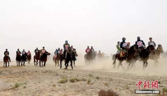 诺伊尔陪妻子参加马术比赛,鄂尔多斯市政协副主席视察伊泰大漠马业 (4).jpg