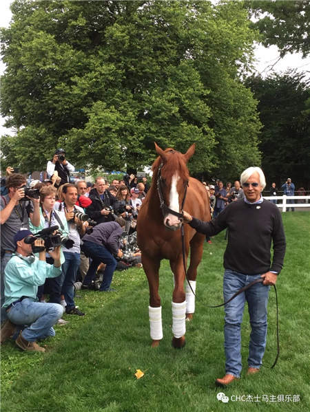 诺伊尔陪妻子参加马术比赛,鄂尔多斯市政协副主席视察伊泰大漠马业 (5).jpg