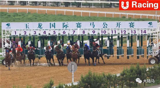天赐圣泉两驹强势夺冠	！玉龙国际赛马公开赛6.23第6赛事日战报