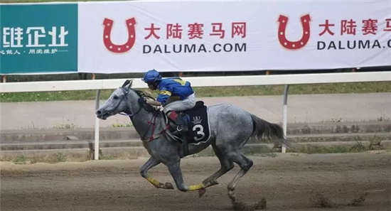 周末山西玉龙、内蒙古莱德两地15场赛马来袭