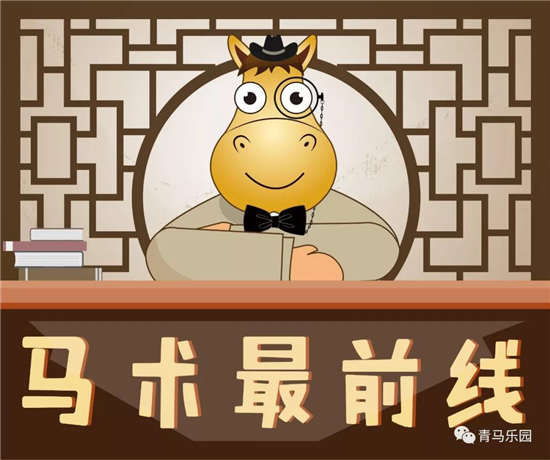 马术最前线丨国内首届阿拉伯马大赛开启
，最浪漫马术赛埃菲尔铁塔下开战