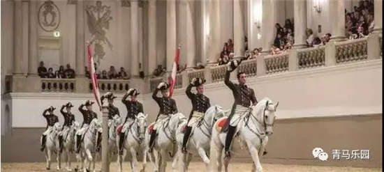 优雅的马是给音乐最好的礼物