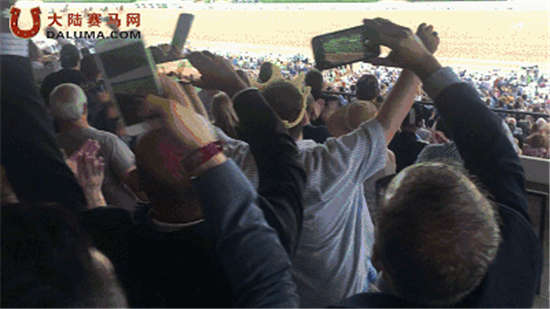 为什么10万美国人会为一匹中国俱乐部的赛马欢呼、流泪？
