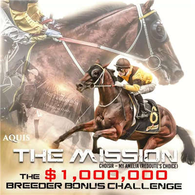 史上最高奖励，中国也有份�！Aquis雅士牧场公布“任重道远”100万澳币育马奖励计划